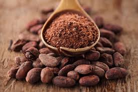 Raw cocoa pods on a tree